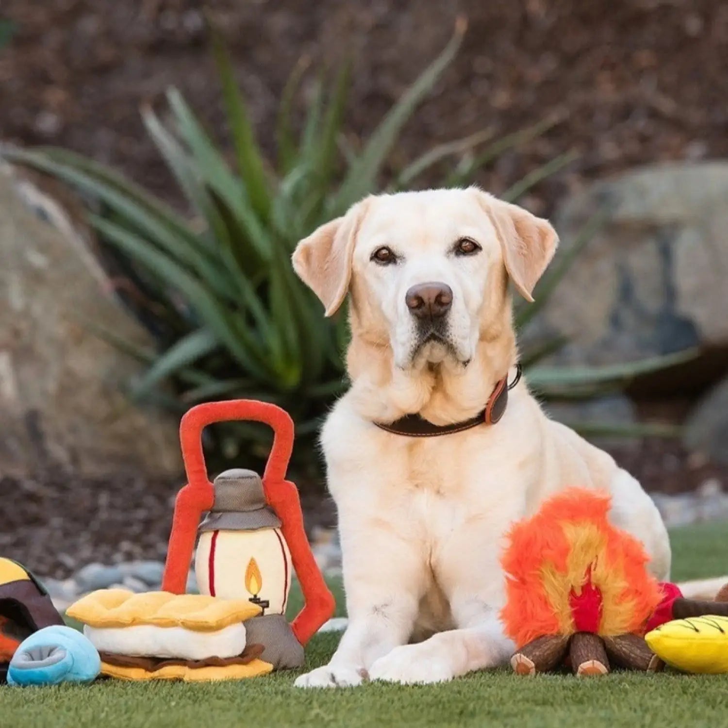 Camp Corbin Plush Dog Toy Collection