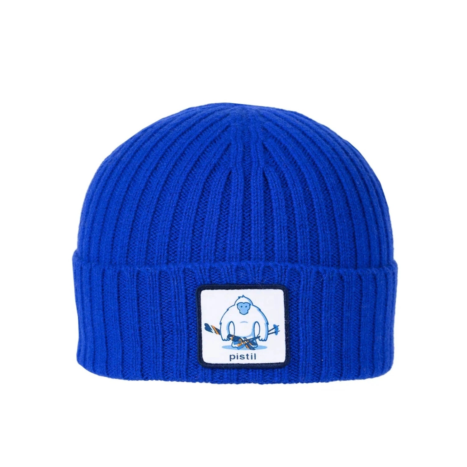 Pistil Kid's Stevie Beanie in blue, front view