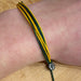 Pura Vida Original Bracelet in green & yellow, view on model