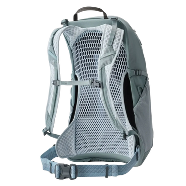 Gregory Arrio 24L Backpack in sage grey, back view