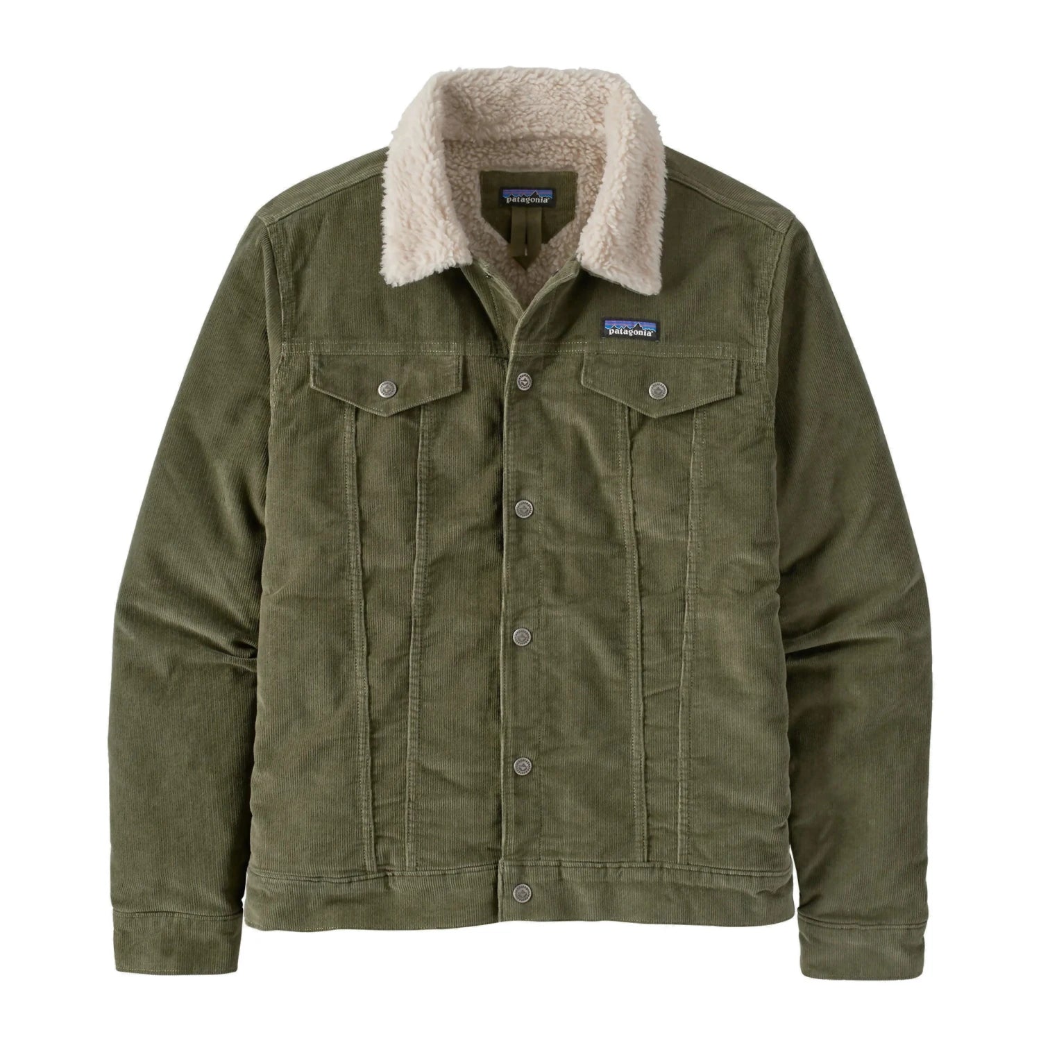 Patagonia Men's Pile-Lined Trucker Jacket in basin green, front view