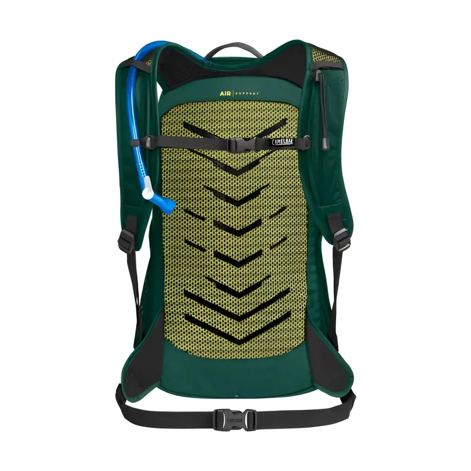 Camelbak Rim Runner™ X22 Hiking Hydration Pack with Crux® 1.5L Reservoir in bistro green, back view