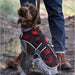 L.L Bean Sweater Fleece Jacket for Dogs in buffalo plaid, on dog