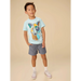 Tea Collection Boy's Picasso Wolf Graphic Tee in canal blue, front model view