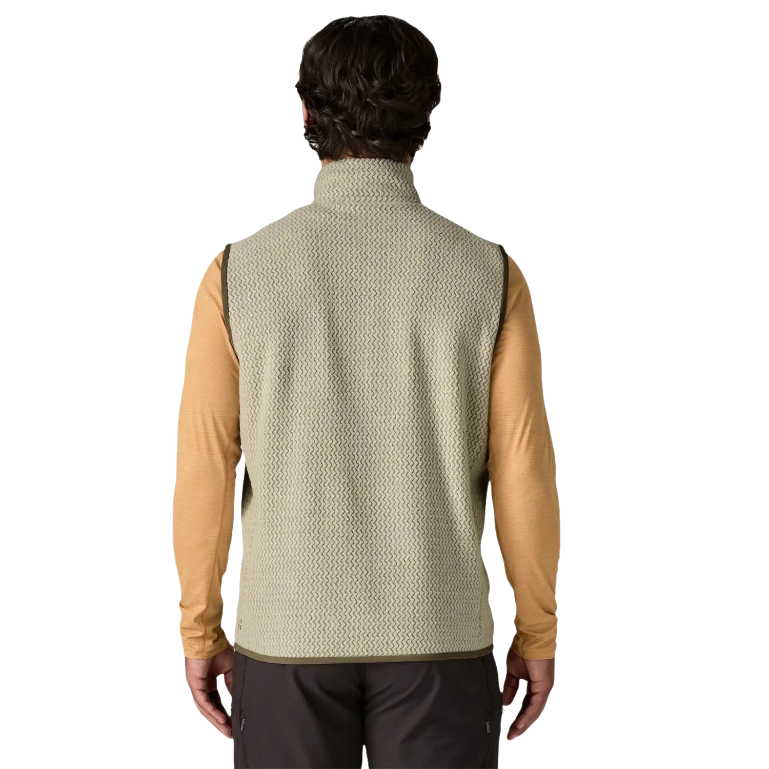 Patagonia Men's R1® Air Fleece Vest in pelican, on model back view