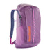 Patagonia Black Hole® Pack 25L in brisk purple, front view