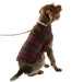 L.L. Bean Reversible Field Coat for Dogs in saddle, reversed and flannel out, side view on dog 