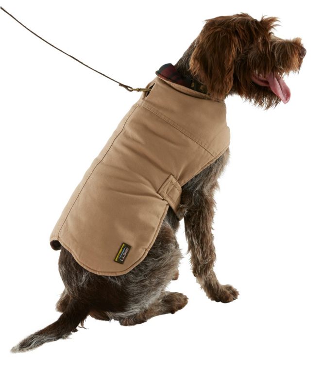 L.L. Bean Reversible Field Coat for Dogs in saddle, side view on dog