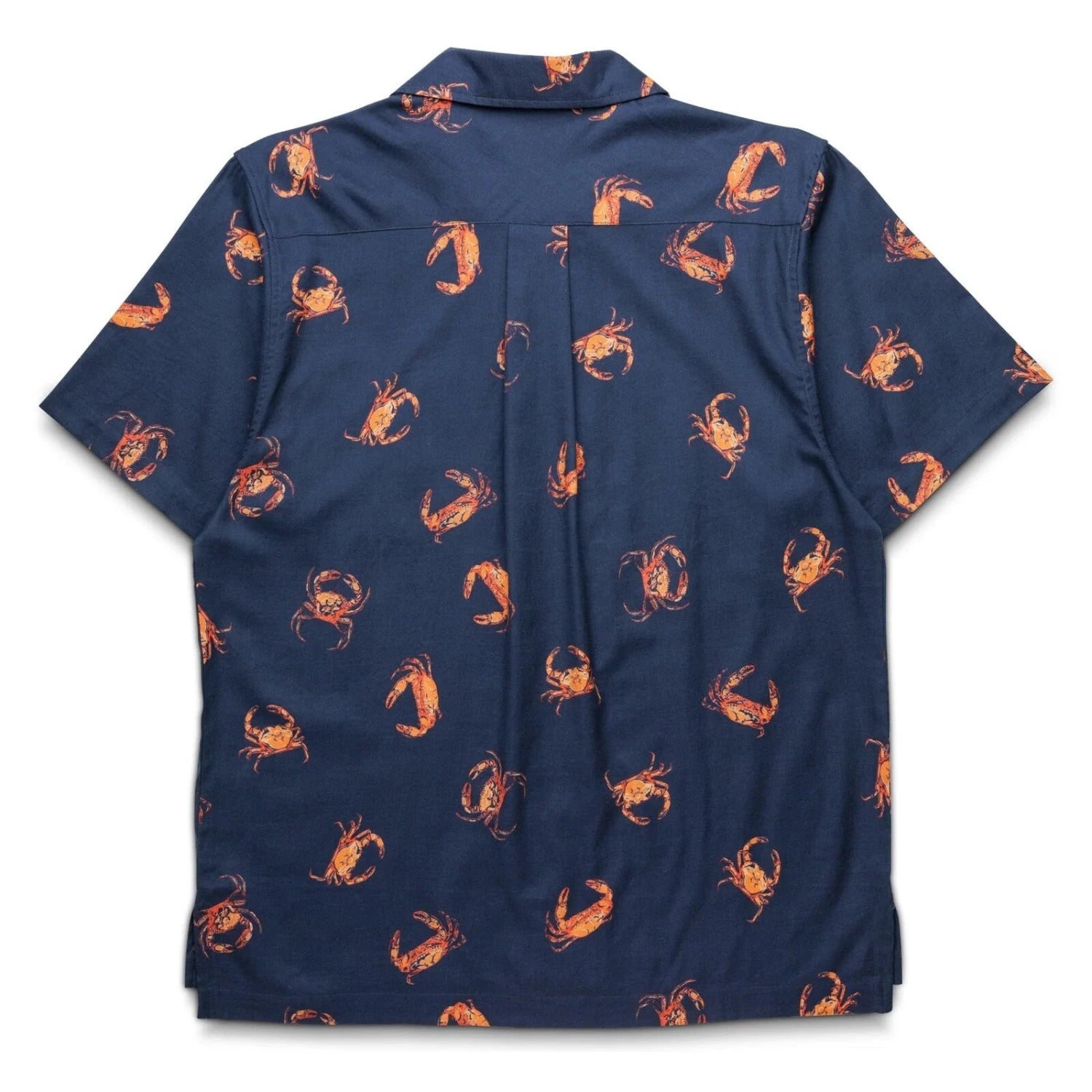 KAVU Men's Bainbridge Shirt in Dungeness, back view