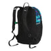 The North Face Youth Court Jester Backpack Scuba Blue Back View