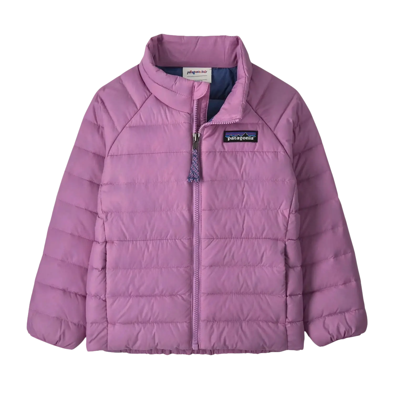 Patagonia Baby Down Sweater™ in brisk purple, front view