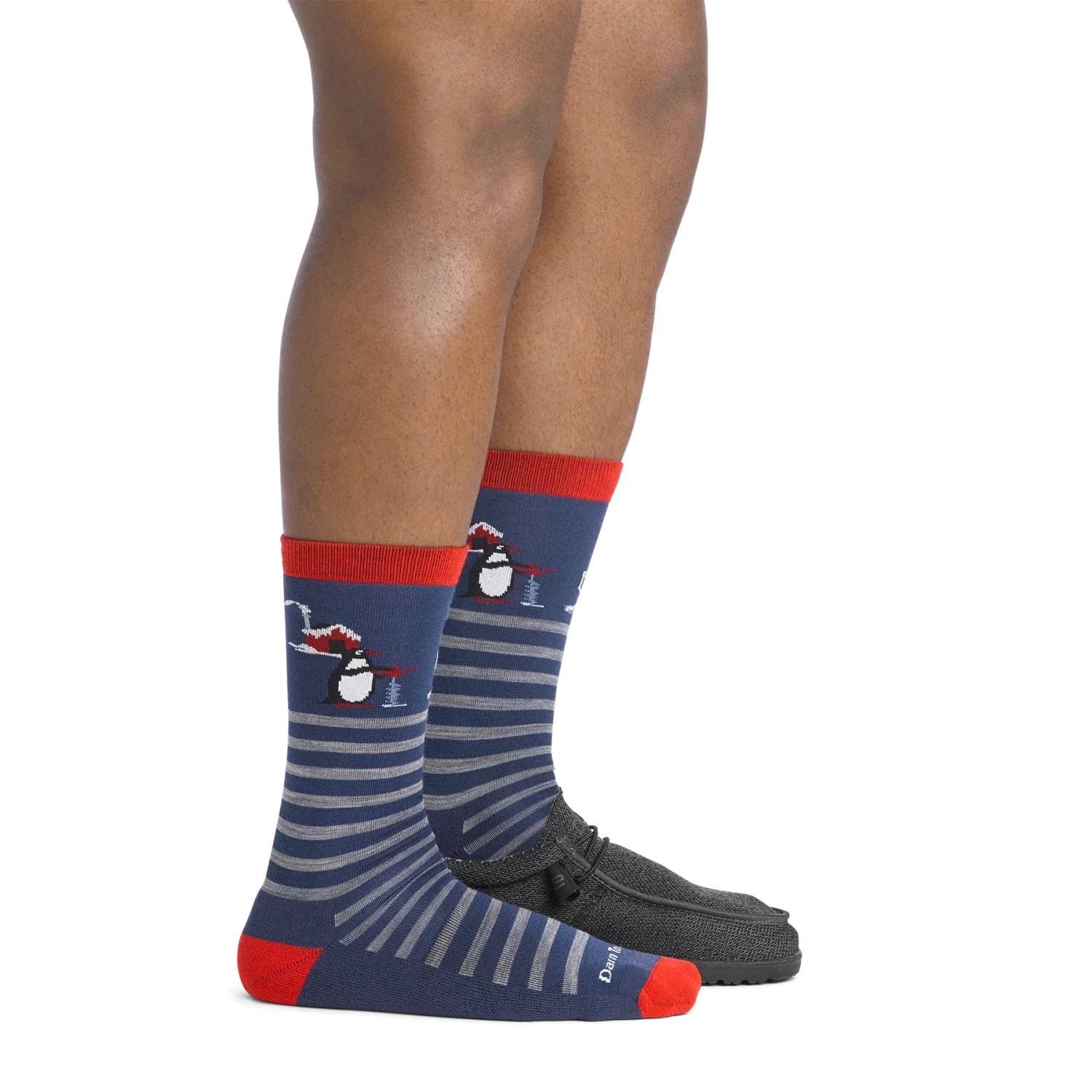 M's Wild Life Crew Lightweight Lifestyle Sock