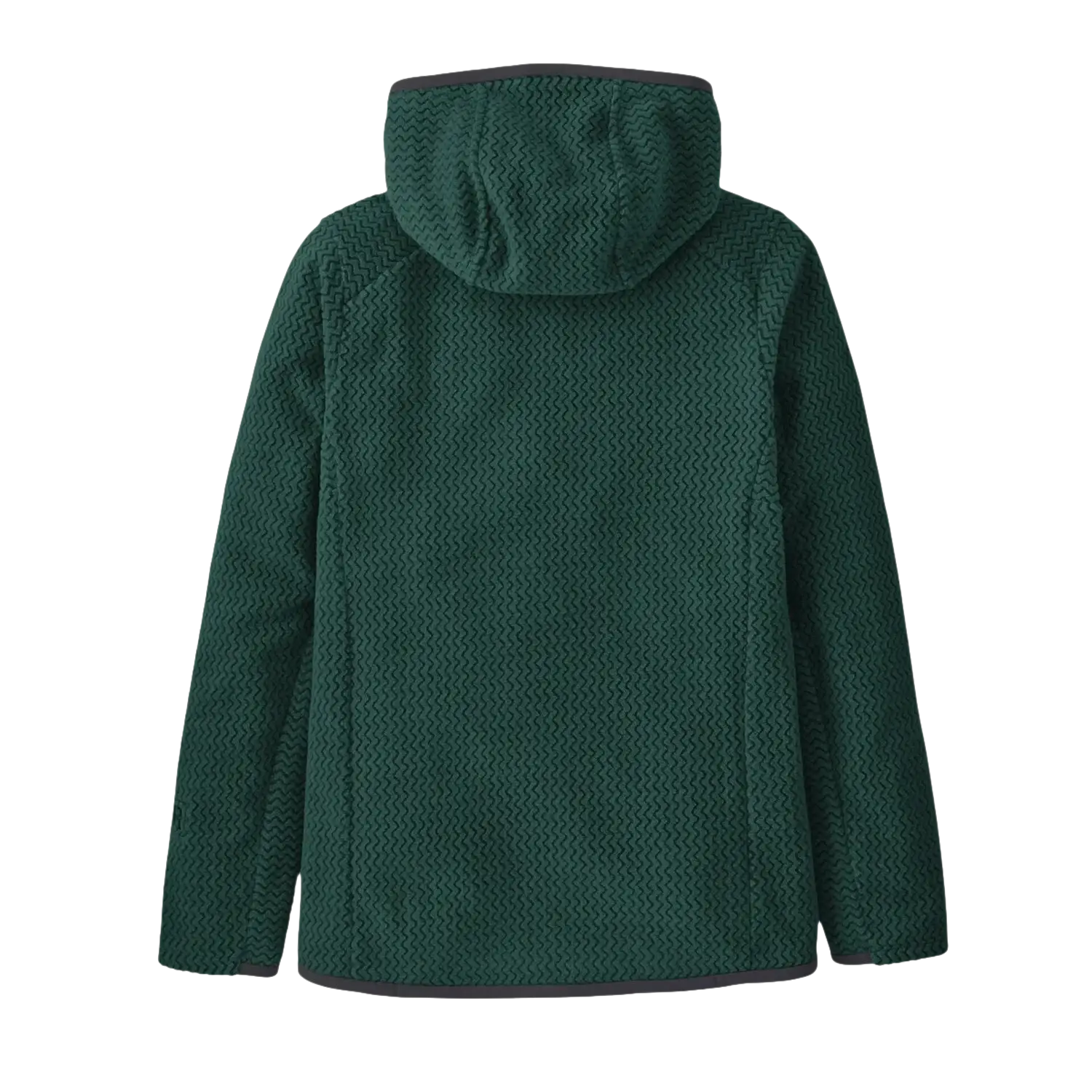 Patagonia Kids' R1® Air Full-Zip Hoody in cascade green, flat back view