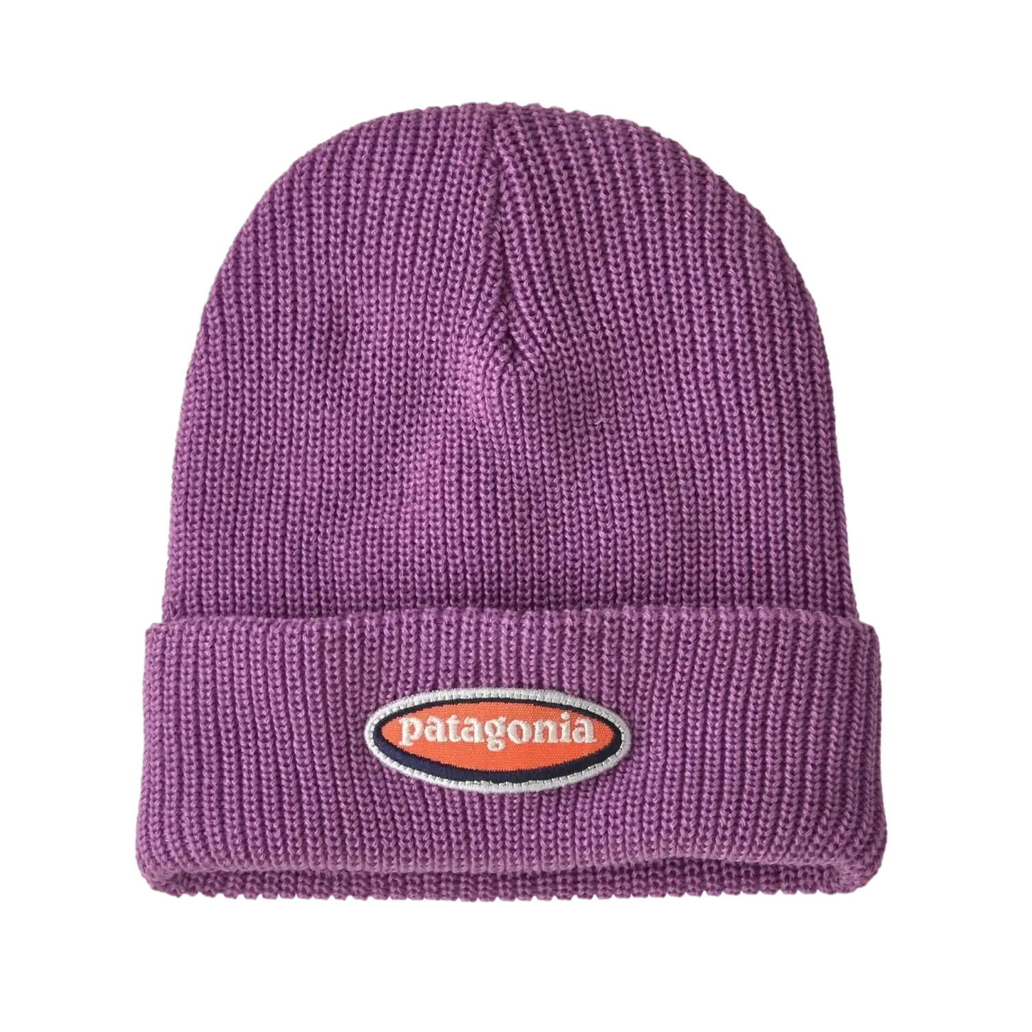 Patagonia Kid's Logo Beanie in oval logo & brisk purple, front view