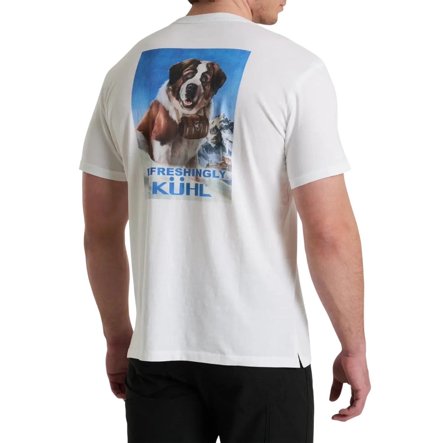 KUHL Men's St. Bernard™ Tee in white, on model back view