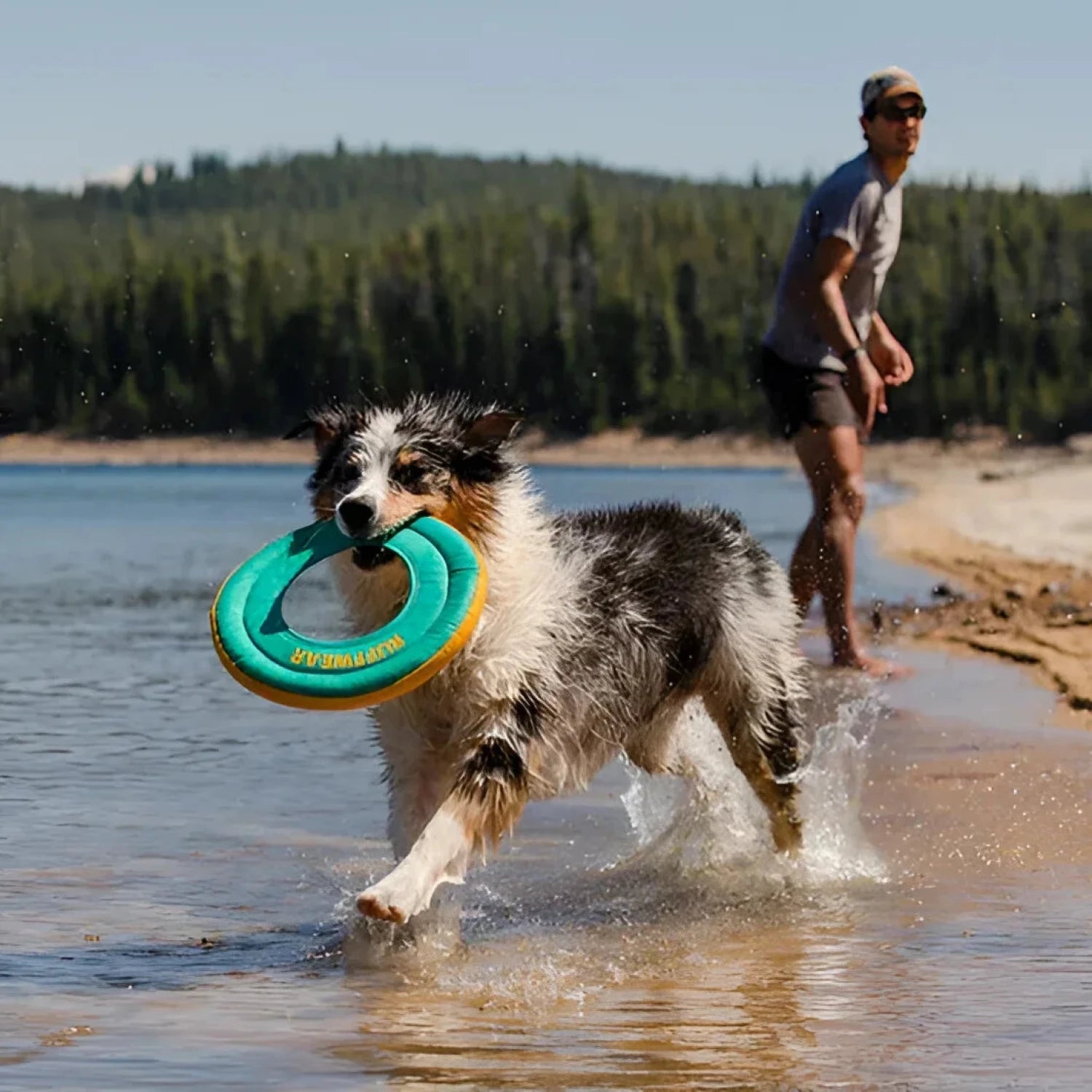 Ruffwear Hydro Plane™ Floating Throw Dog Toy in blue, lifestyle - cute dog holding toy
