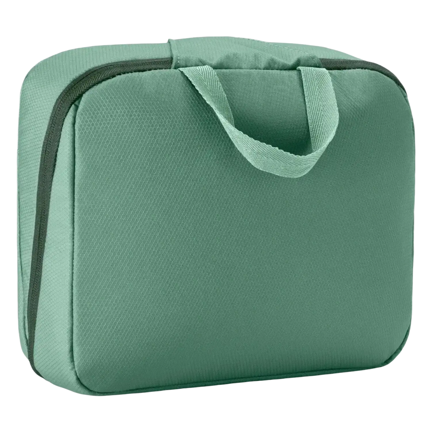 Eagle Creek Pack-It® Hanging Toiletry Bag in willow green, back view
