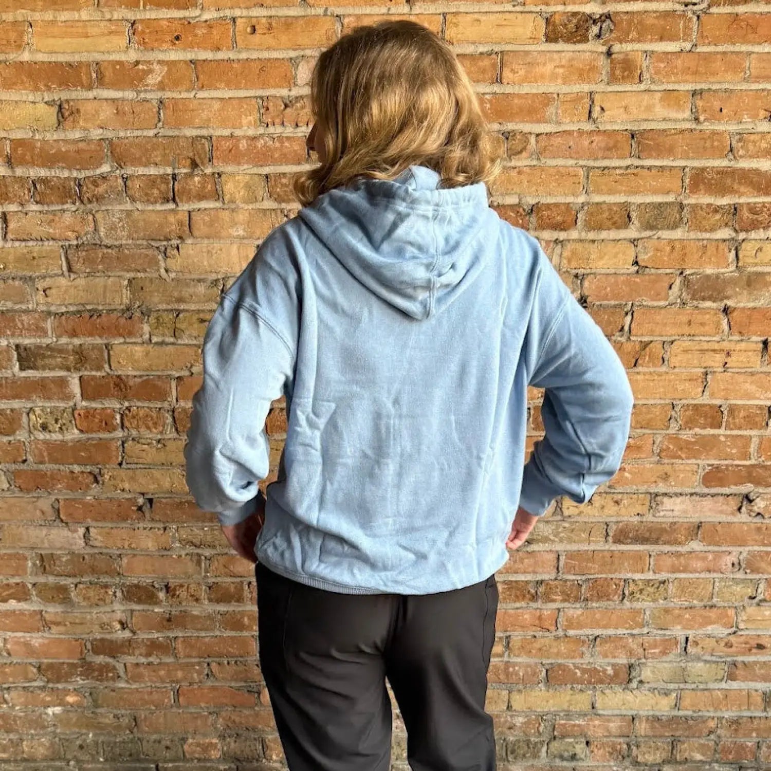 Tentree Women's Sunrise Relaxed Hoodie, back view
