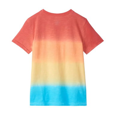 Hatley Boy's Gradient Sun Set Crew Neck T-Shirt, back view