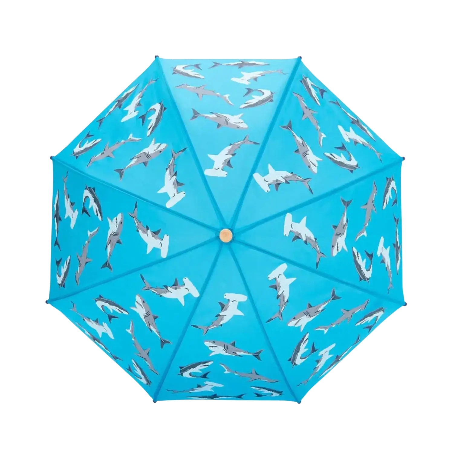 Hatley Kids Umbrella in shark party, open top view