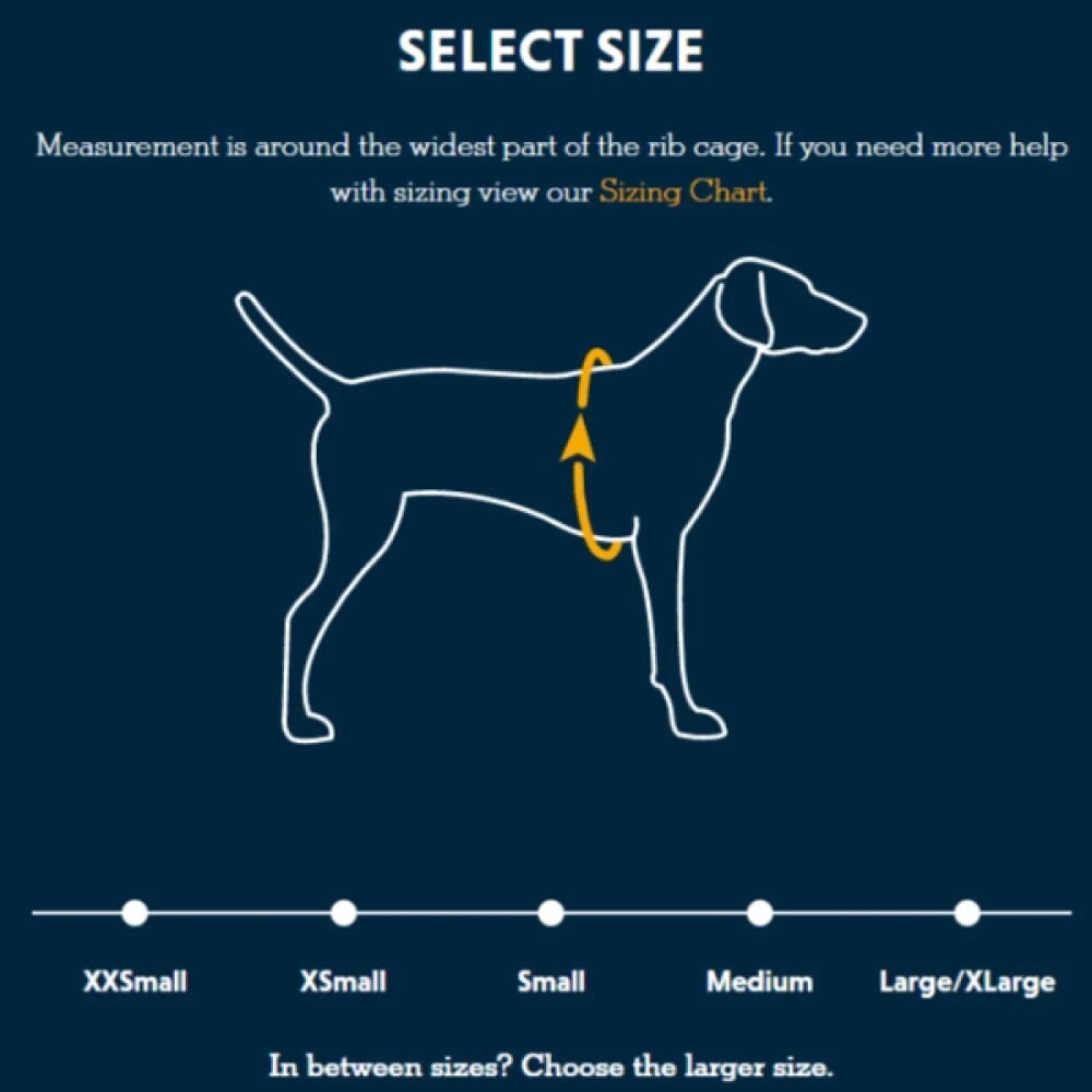 Front Range® Dog Harness
