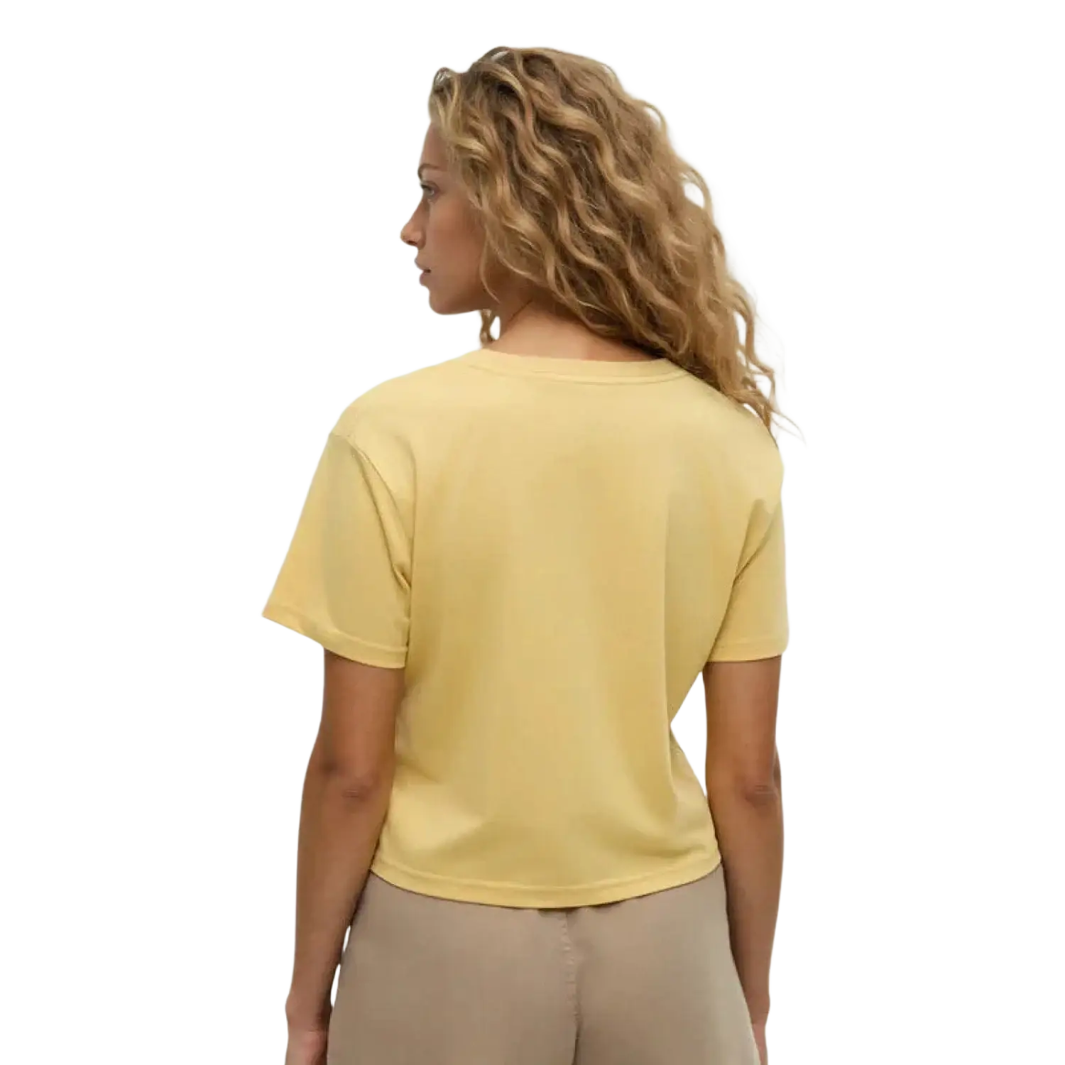 Tentree Women's Lake View Crop Tee, back view