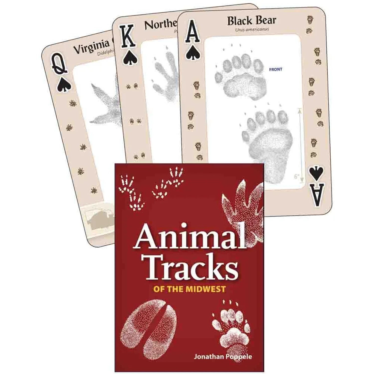 Animal Tracks of the Midwest Playing Cards