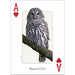 adventure keen birds of the midwest playing cards ace