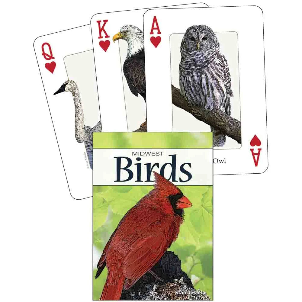 Birds of the Midwest Playing Cards