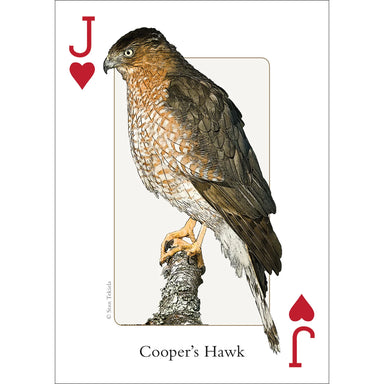 adventure keen birds of the midwest playing cards jack