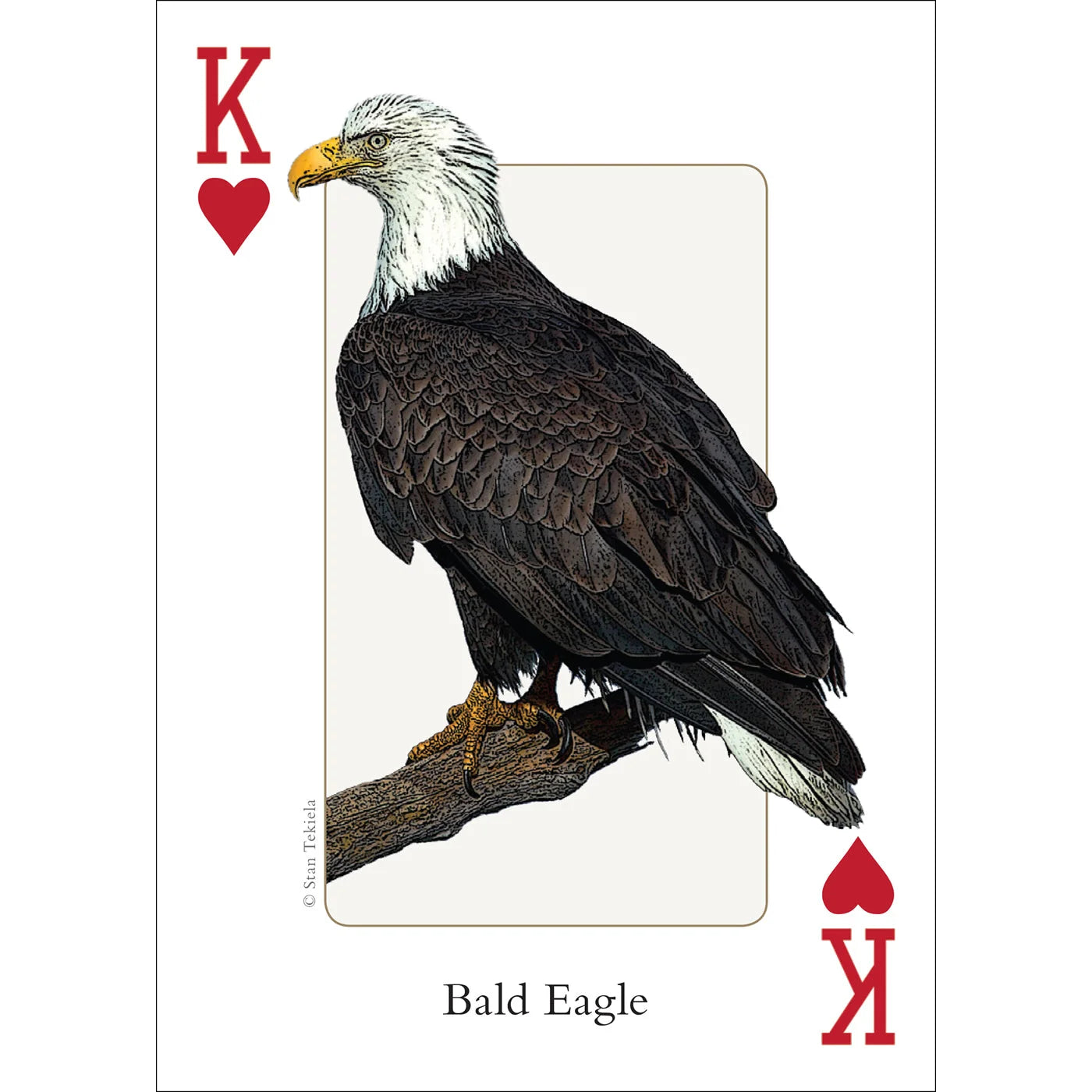 adventure keen birds of the midwest playing cards king