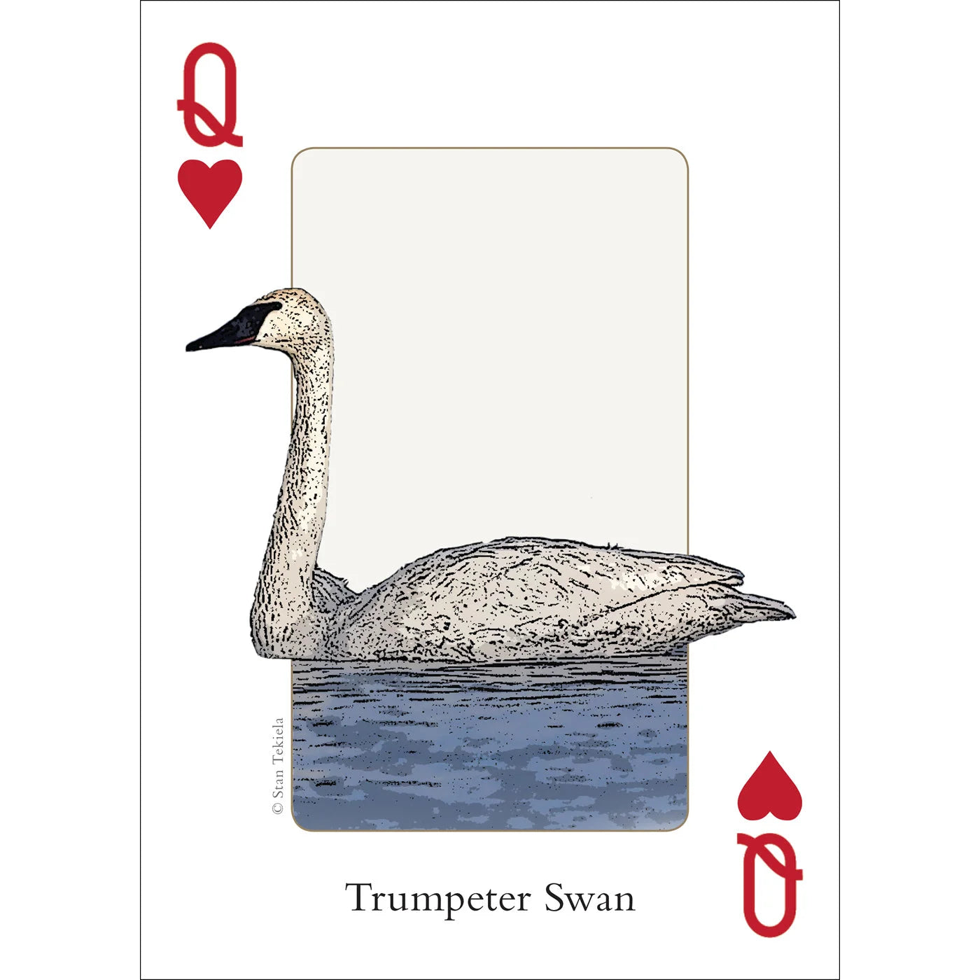 adventure keen birds of the midwest playing cards queen