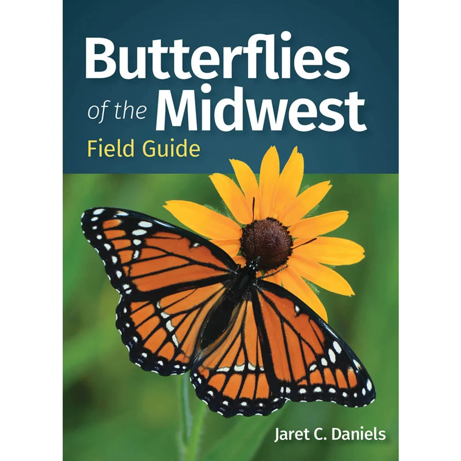 Butterflies of the Midwest Field Guide
