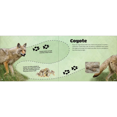 Adventure Keen Critter Litter Board Book page 1