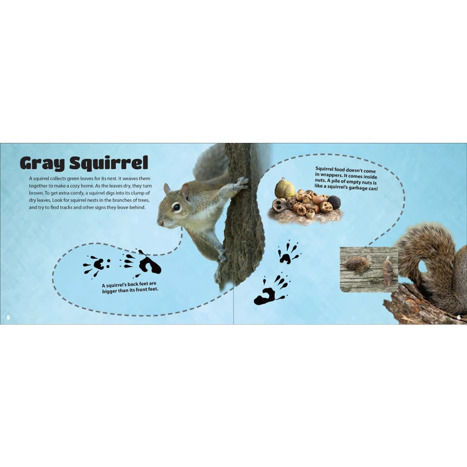 Adventure Keen Critter Litter Board Book page 2