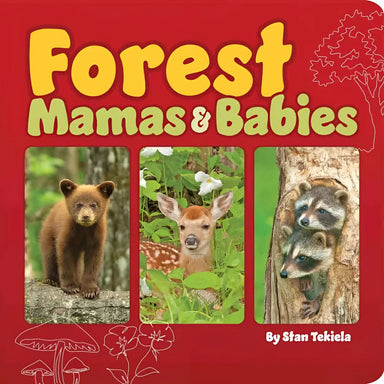 Adventure Keen Forest Mamas & Babies Board Book cover