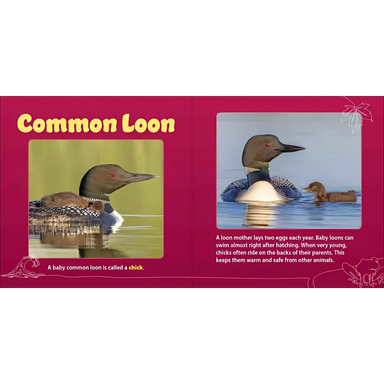 Adventure Keen Lake Mamas & Babies Board Book, loon page view
