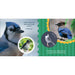 adventure keen nature baby birds book blue jay pages