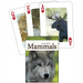 Adventure Keen Nature Playing Cards in mammals of the midwest, cards splayed