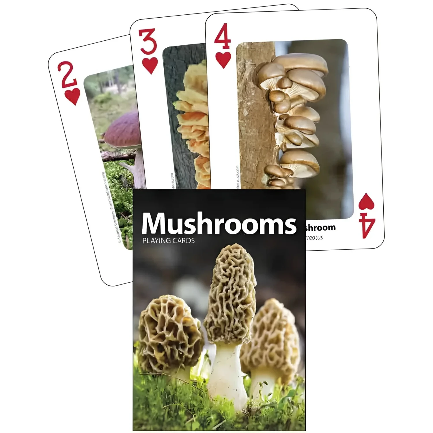 Adventure Keen Nature Playing Cards in mushrooms, cards splayed