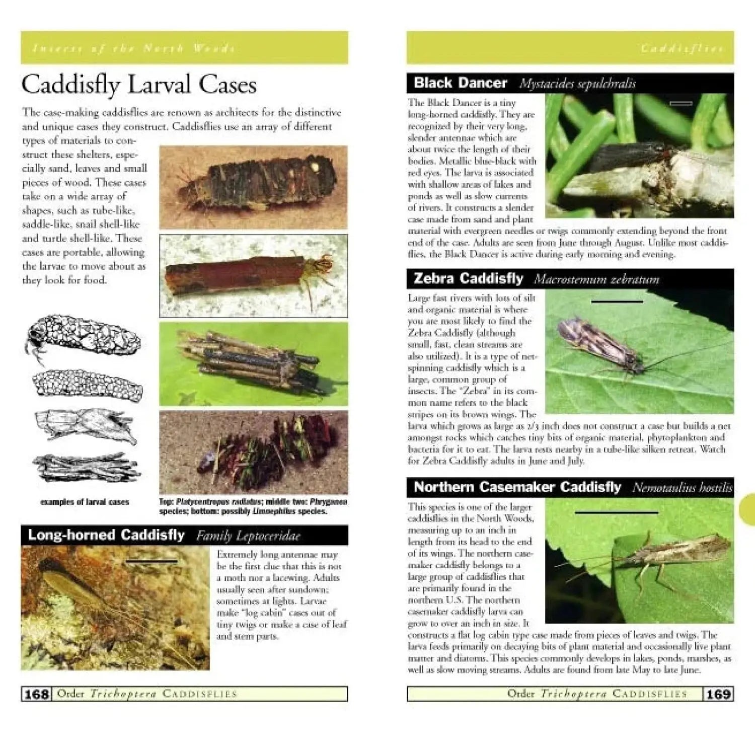 Insects of the North Woods Guide Book