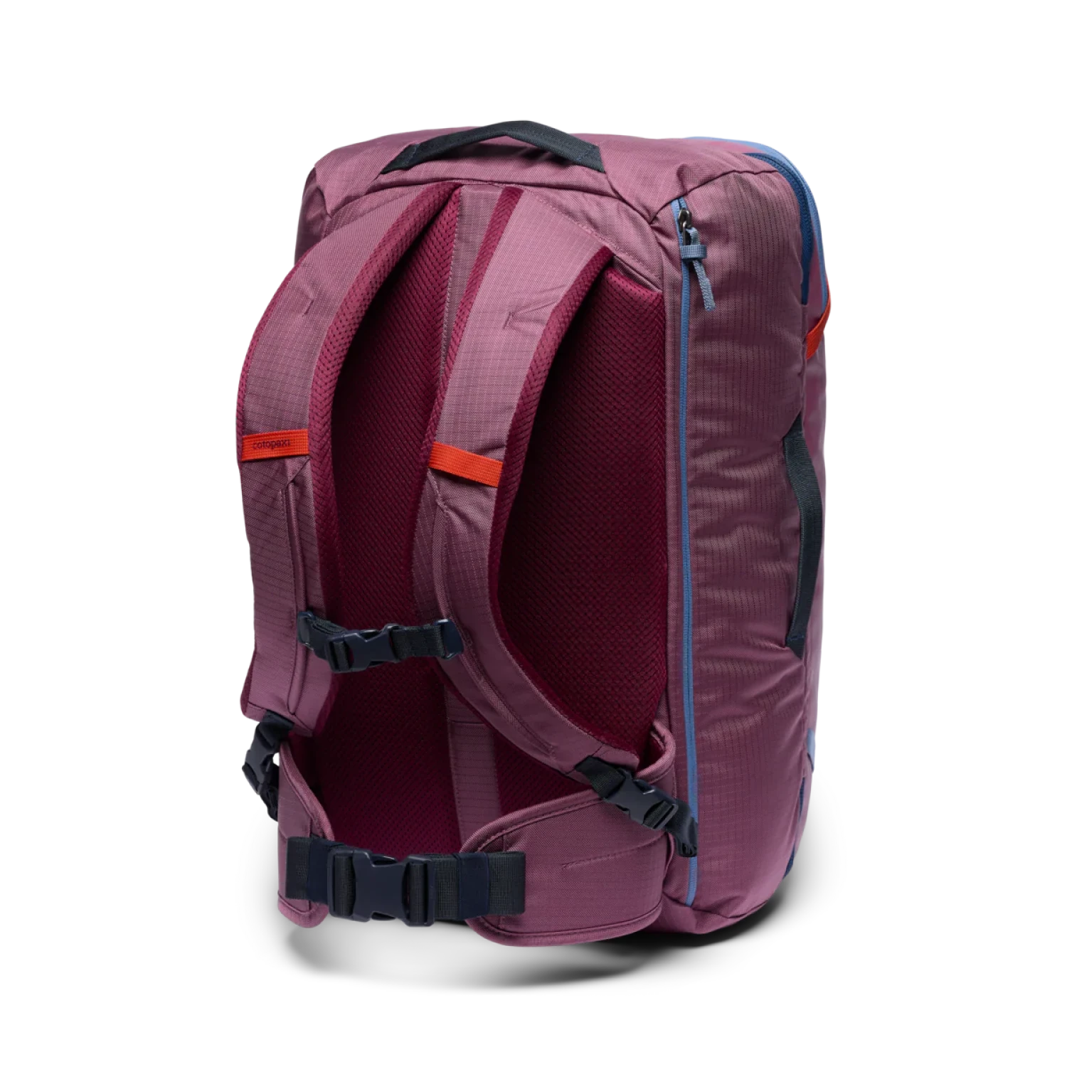 Cotopaxi Allpa 35L Travel Pack in fig, back view