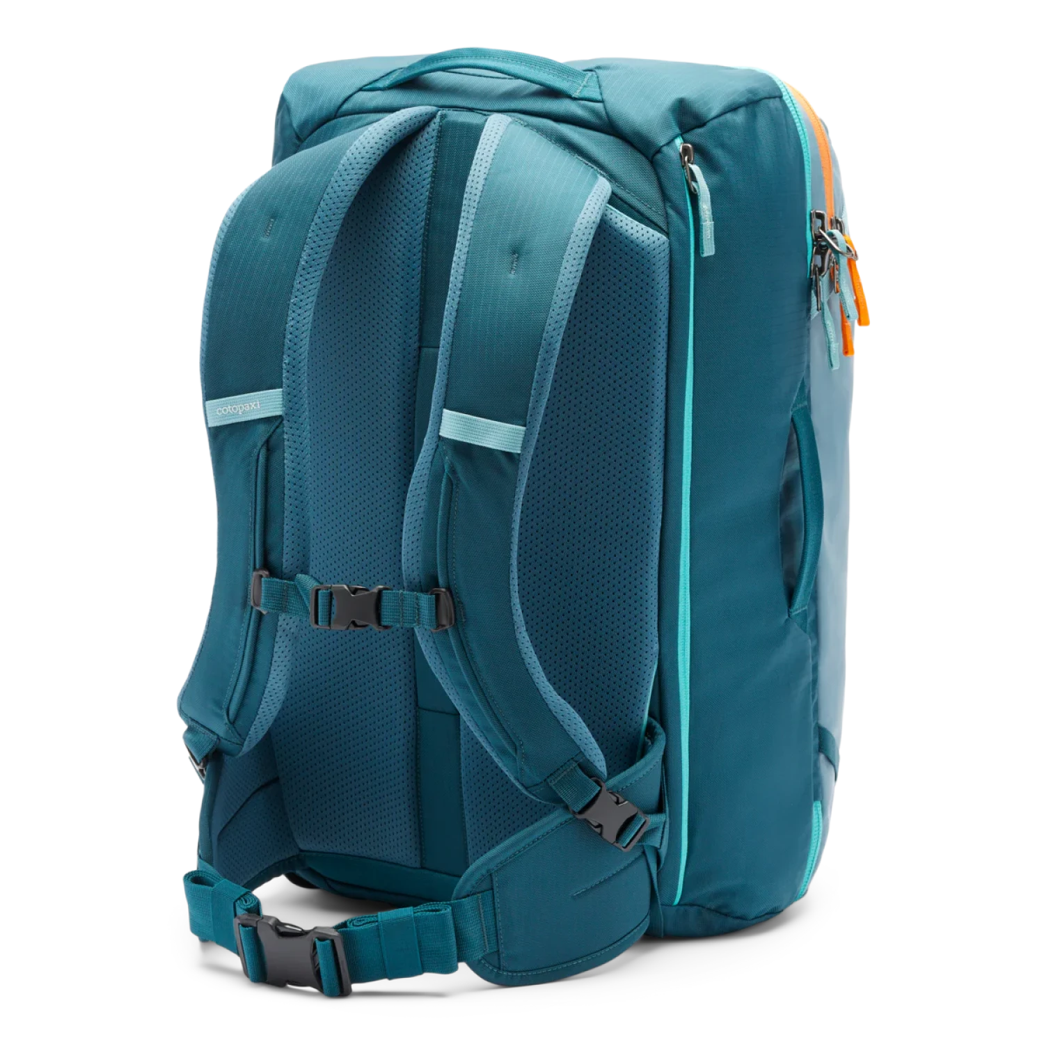 Cotopaxi Allpa 35L Travel Pack Blue Spruce/Abyss Back