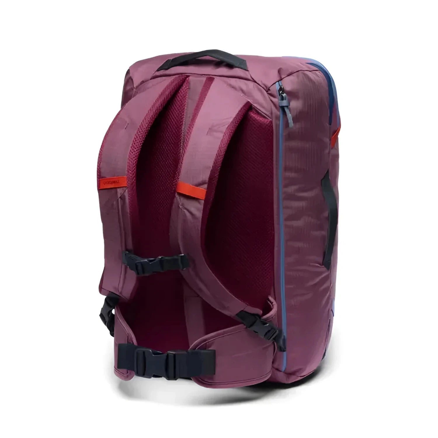 Cotopaxi Allpa 35L Travel Pack in fig, back view