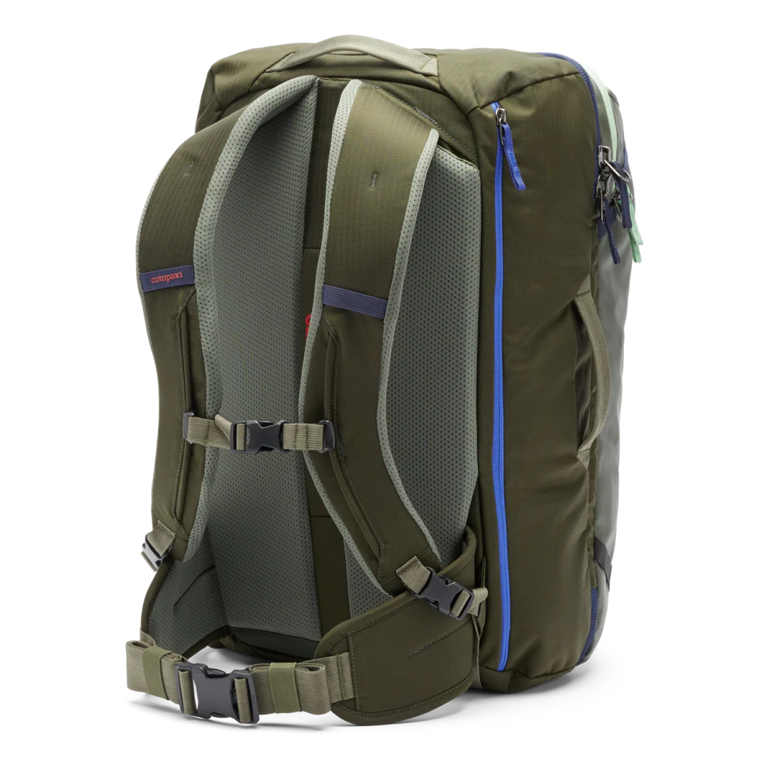 Cotopaxi Allpa 35L Travel Pack in woods, back view