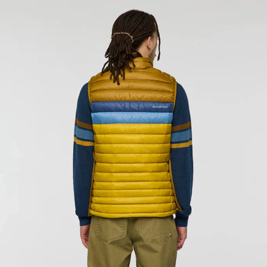 Person wearing a yellow and blue striped puffer vest on a plain background