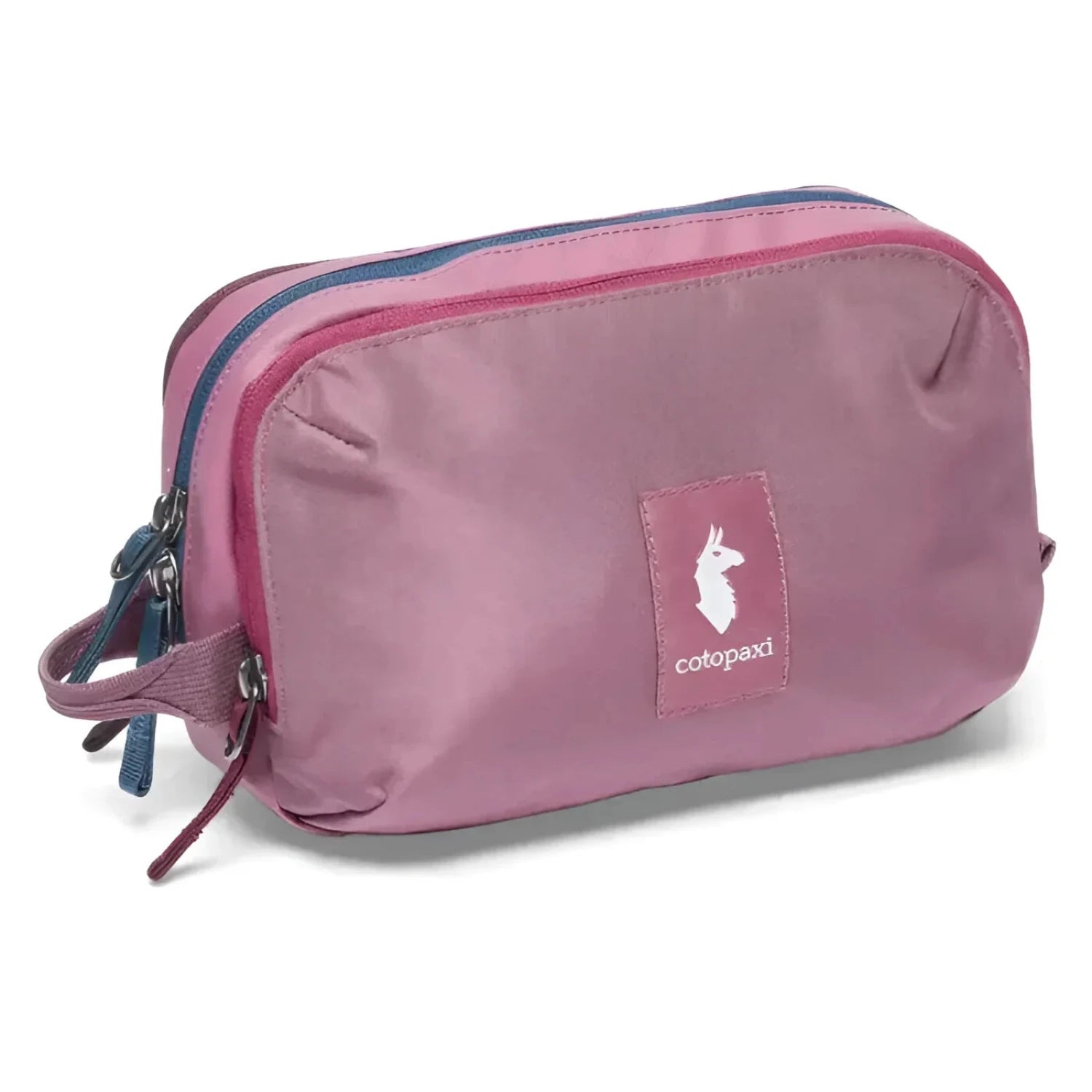 Cotopaxi Nido Accessory Bag in fig, front view