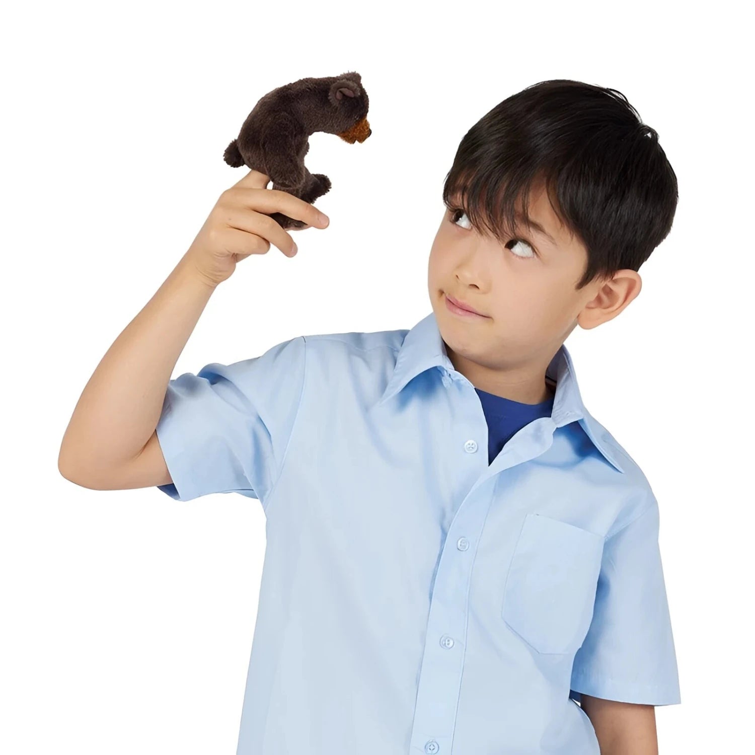 Folkmanis Mini Sitting Bear Finger Puppet, with model