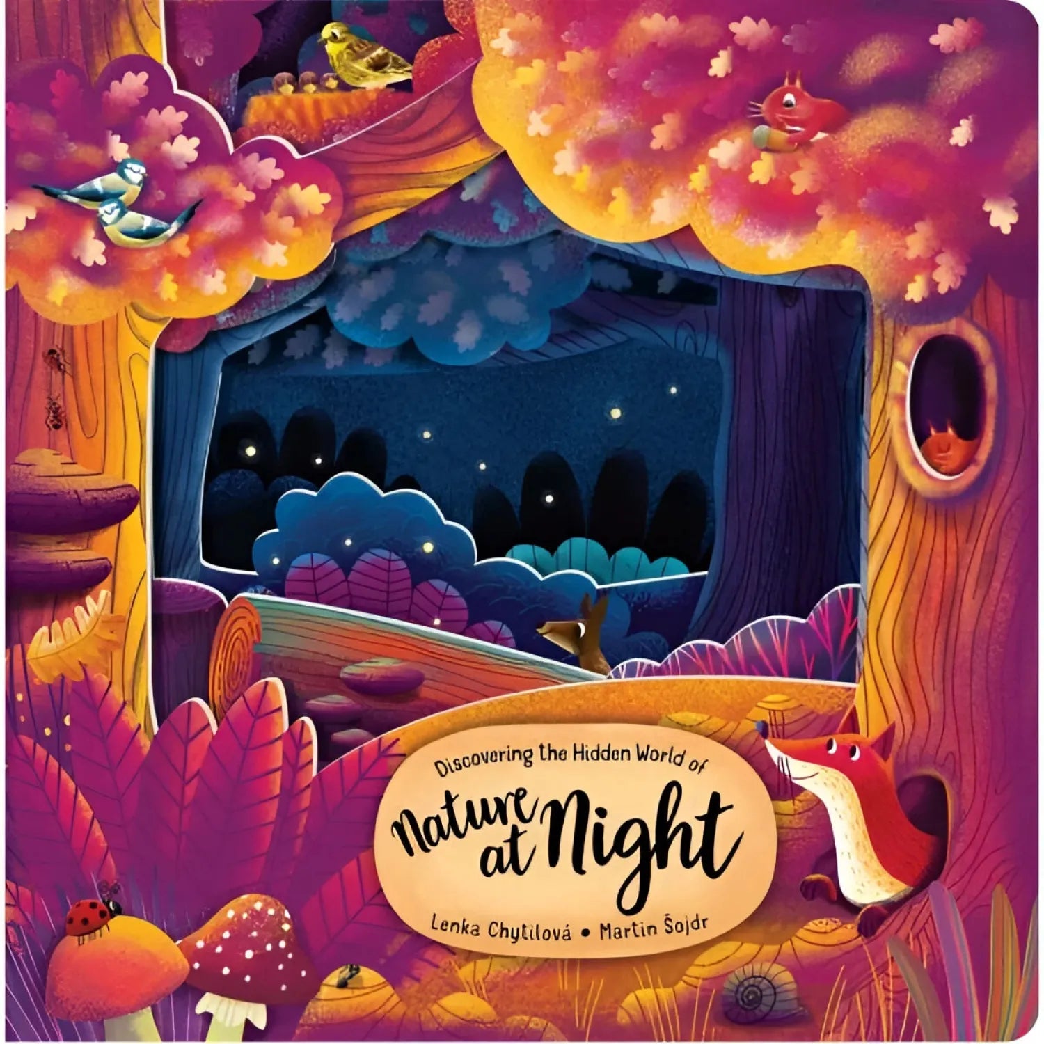 Fox Chapel Publishing Discovering the Hidden World of Nature at Night Board Book cover