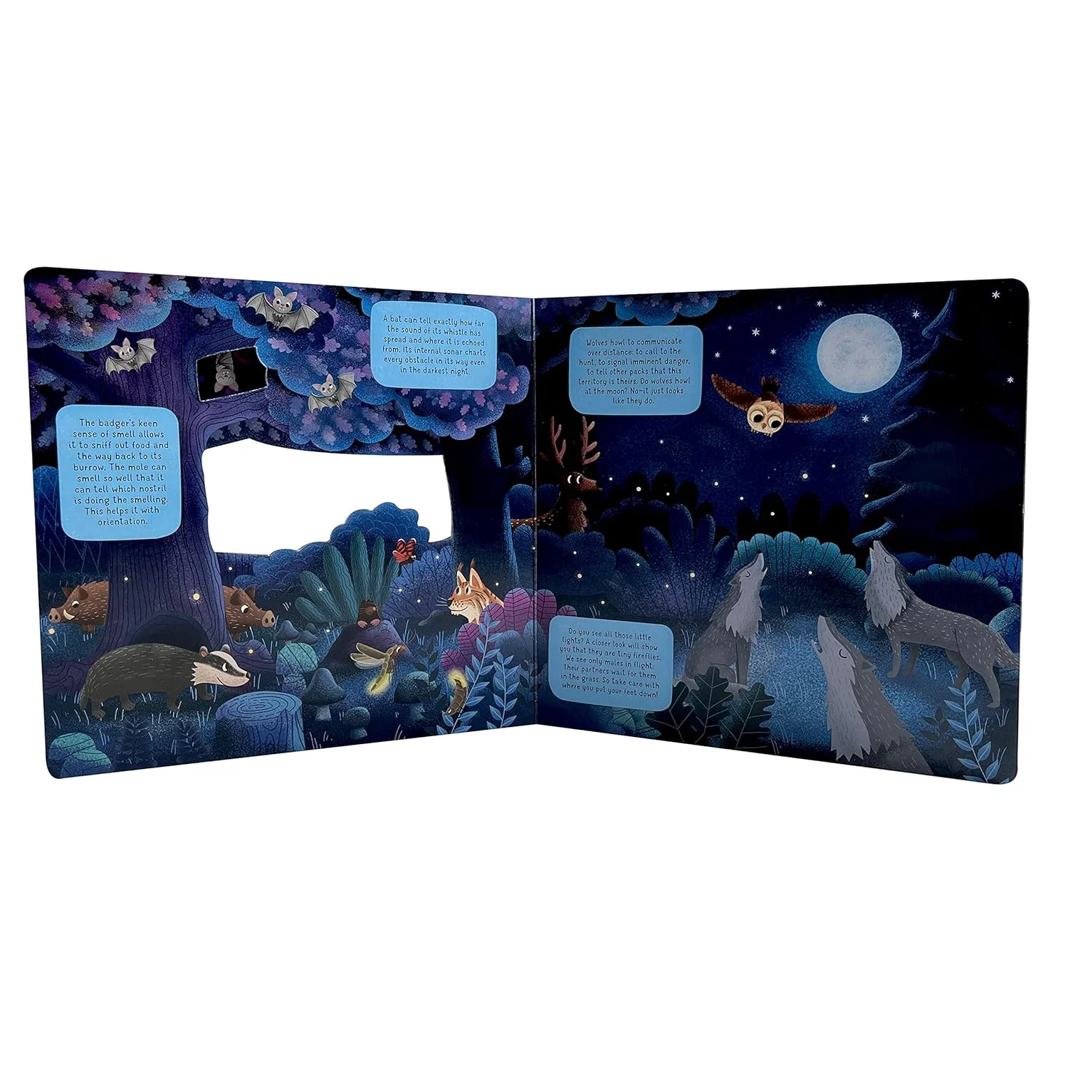 Fox Chapel Publishing Discovering the Hidden World of Nature at Night Board Book page preview 2